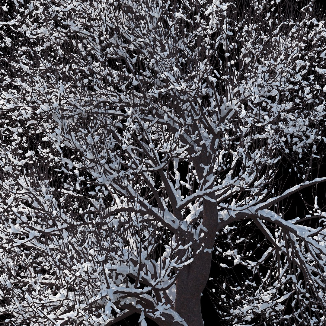 3D winter tree 07 https://p.turbosquid.com/ts-thumb/Oy/29JuIx/ZPXv0OVy/011copy/jpg/1510843603/1920x1080/fit_q87/6d52b974bc48aefce0985eaa7872d02ab31abb6e/011copy.jpg