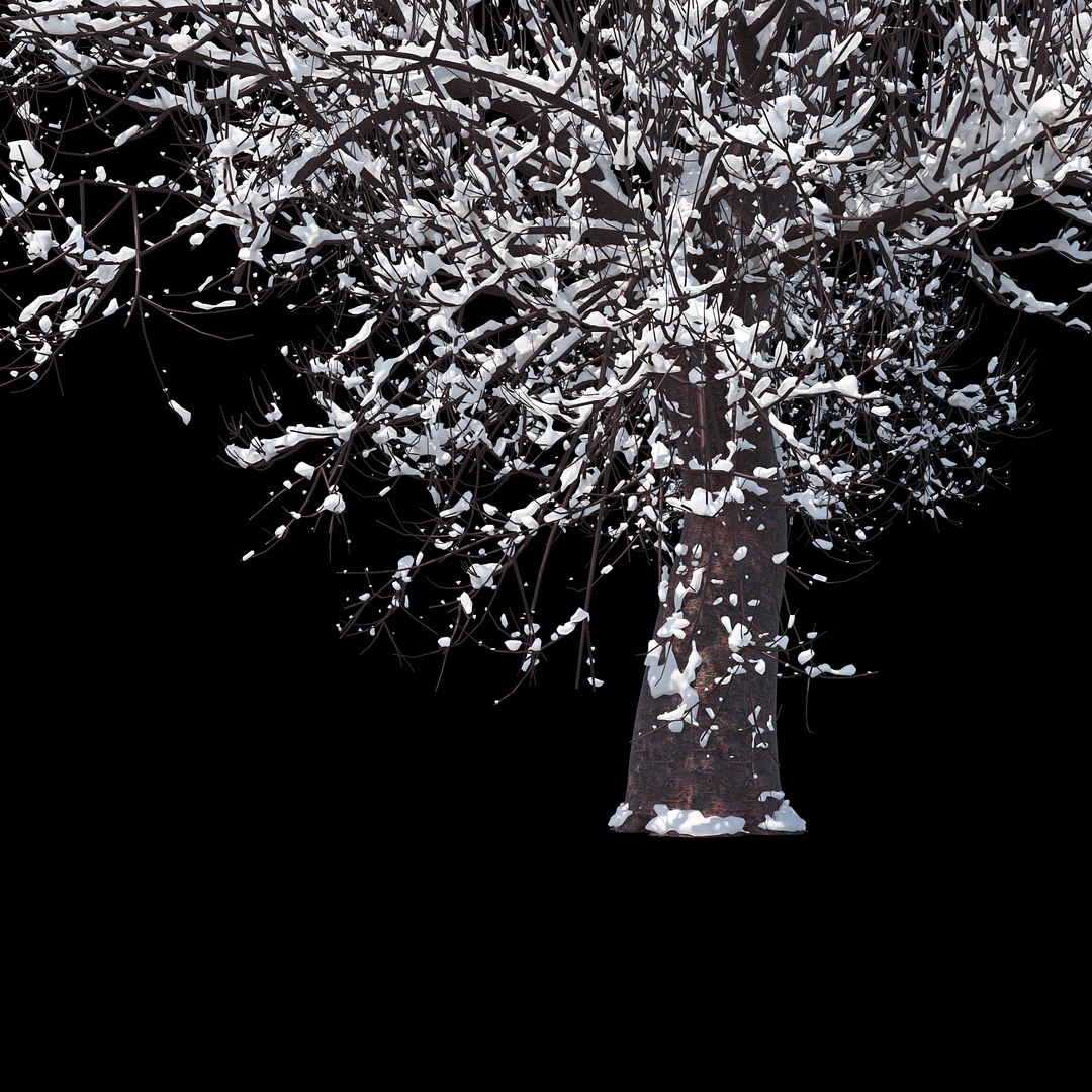 3D winter tree 07 https://p.turbosquid.com/ts-thumb/Oy/29JuIx/gDXf40IB/012copy/jpg/1510843603/1920x1080/fit_q87/d0e34f29ae4ef0dce4ba6046f78305dffc99b37c/012copy.jpg