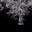 Winter Tree 07