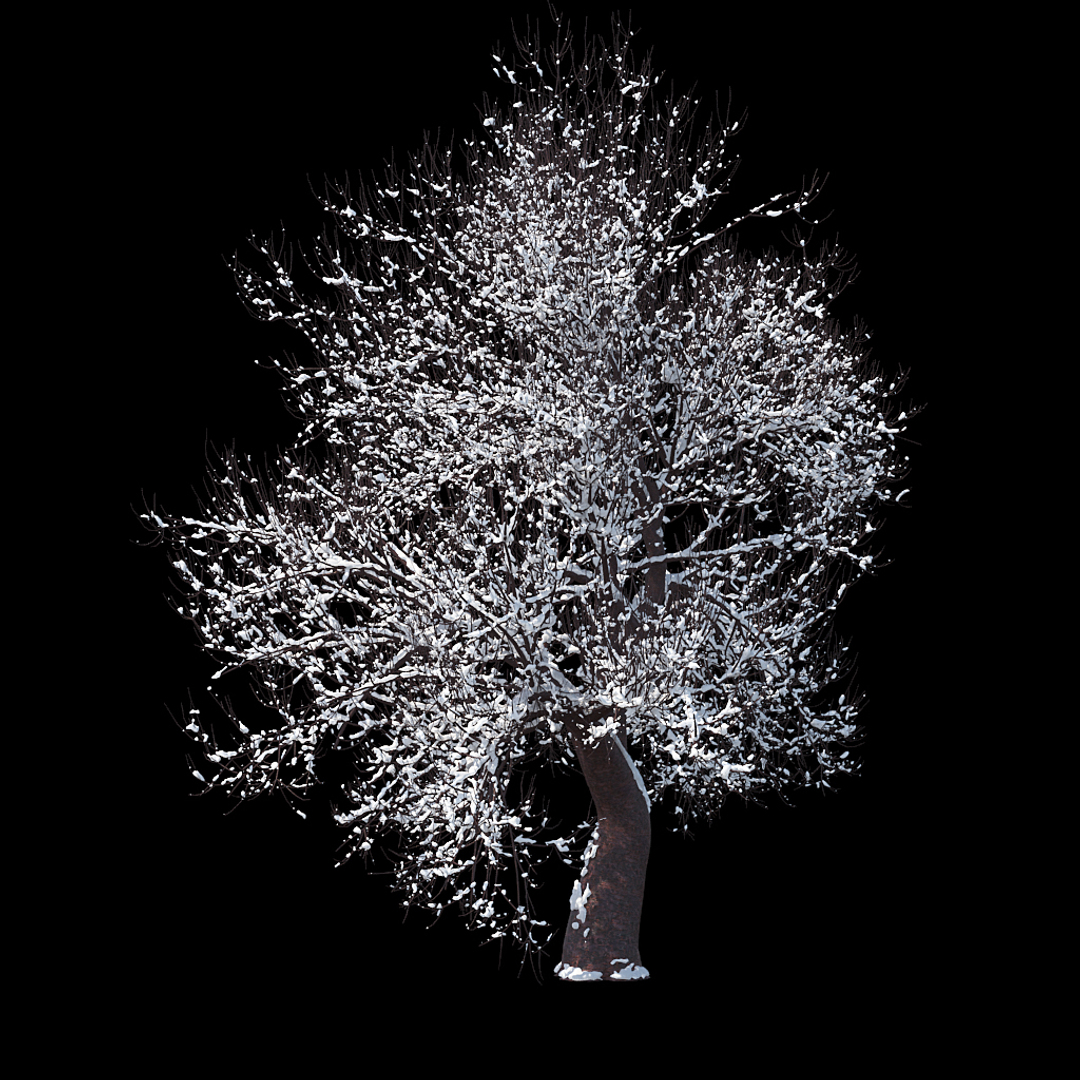 3D winter tree 07 https://p.turbosquid.com/ts-thumb/Oy/29JuIx/lYADjnvM/winter_tree_turntable_0000copy/jpg/1510843541/1920x1080/turn_fit_q99/08b4d103f1756c977f5480120705b435f62596c6/winter_tree_turntable_0000copy-1.jpg