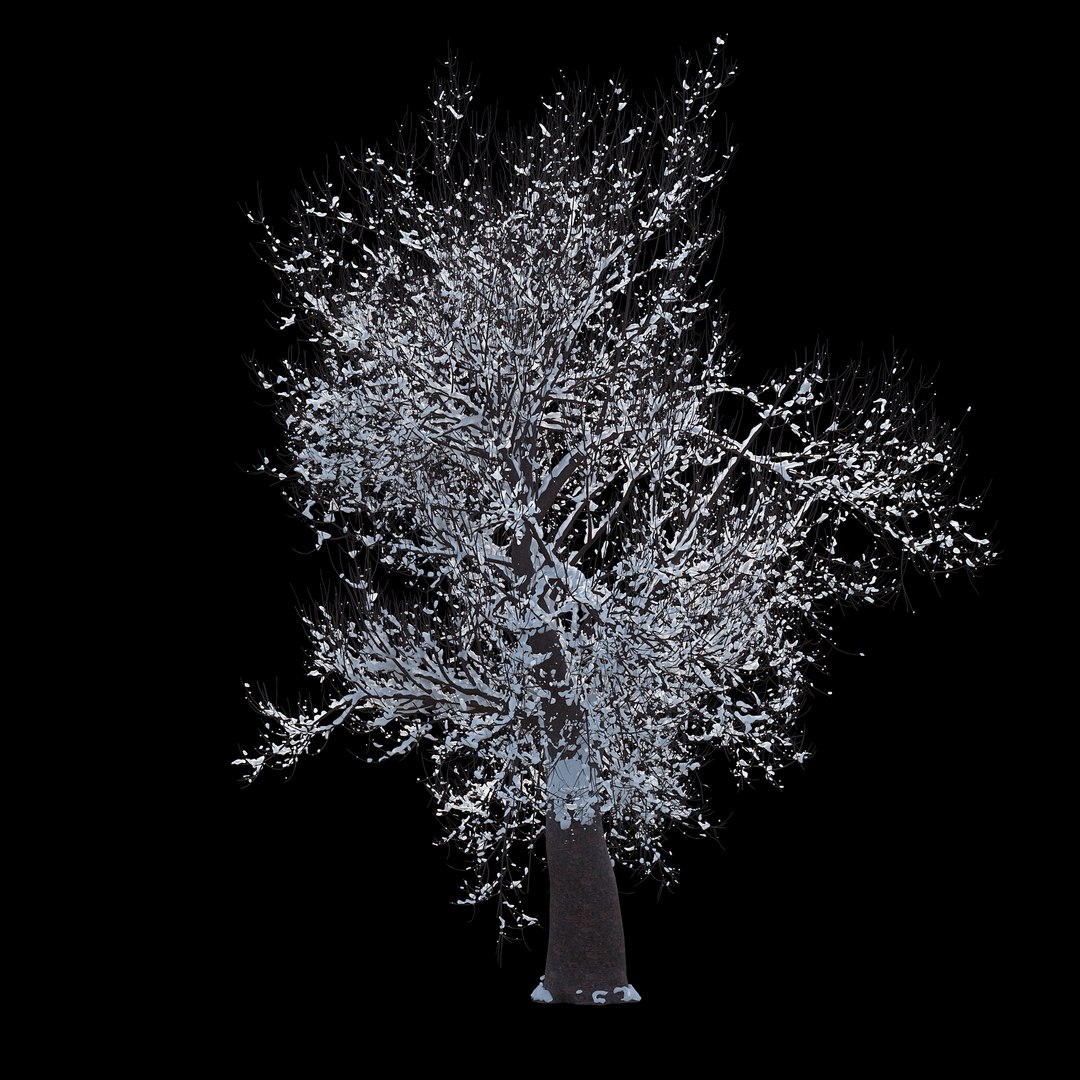 3D winter tree 07 https://p.turbosquid.com/ts-thumb/Oy/29JuIx/tJKZEiki/04copy/jpg/1510843602/1920x1080/fit_q87/607941f8bbb6af3fe909c2a73eb98daaa8adb991/04copy.jpg