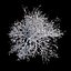 Winter Tree 07