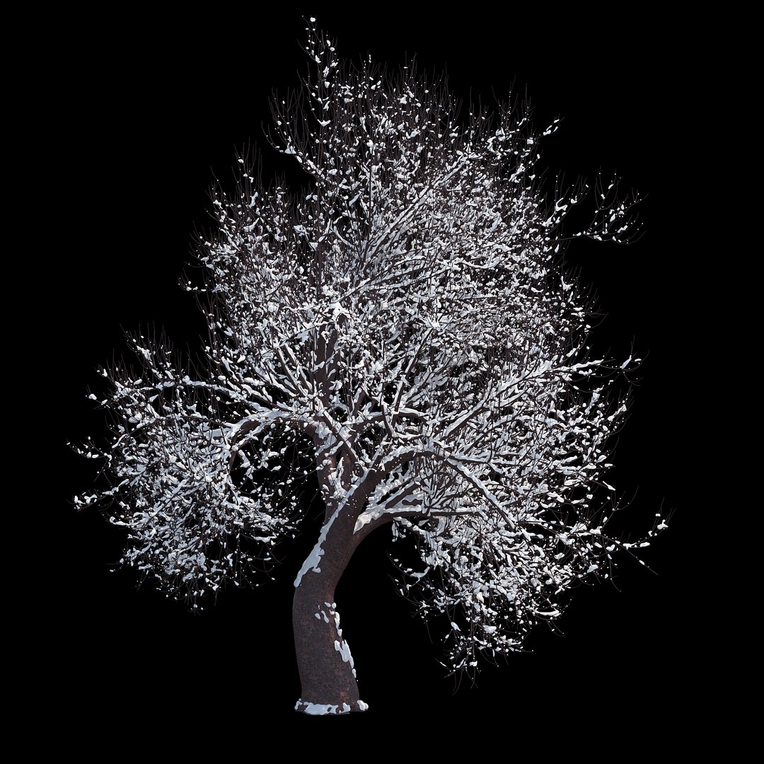 3D winter tree 07 https://p.turbosquid.com/ts-thumb/Oy/29JuIx/zf9PmJdh/06copy/jpg/1510843602/1920x1080/fit_q87/2ad2dd6451927f974613e1bbb1df4d5baeaf2160/06copy.jpg