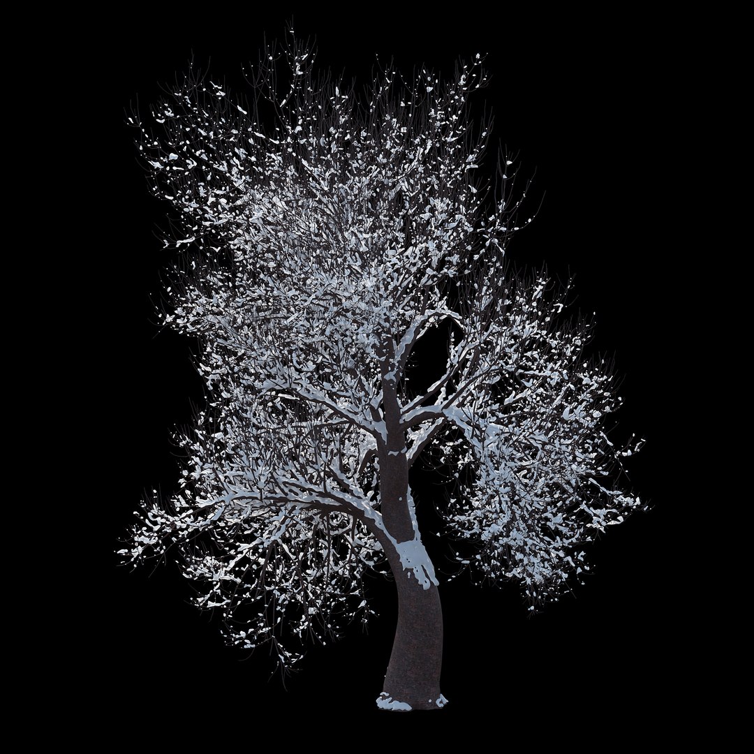 3D winter tree 07 https://p.turbosquid.com/ts-thumb/Oy/29JuIx/zi8RyWzk/03copy/jpg/1510843602/1920x1080/fit_q87/7d1faecb38f5a218c8232e10fb3bf89dc649e712/03copy.jpg