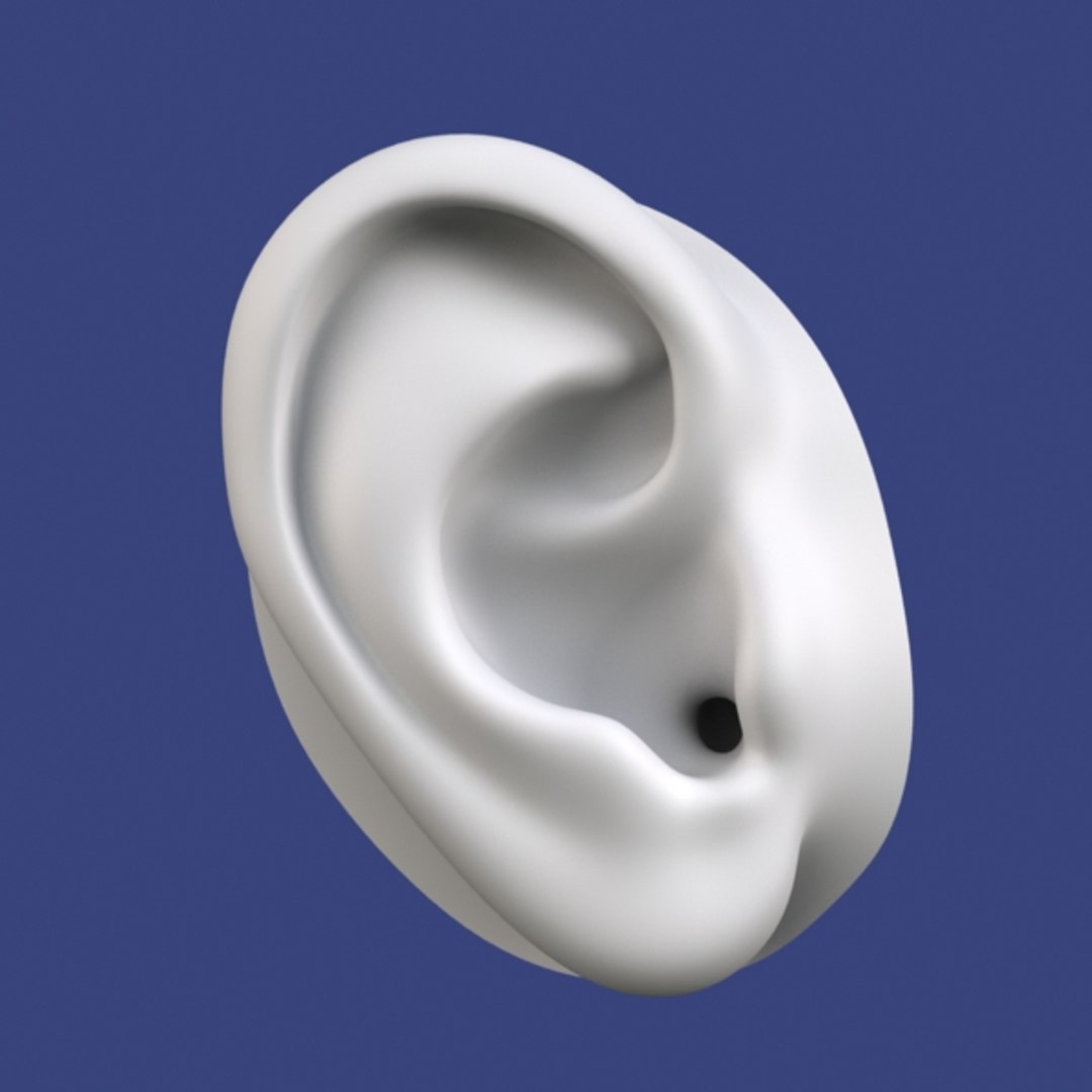 3d ear polygonal lightwave model https://p.turbosquid.com/ts-thumb/Oy/6eKLlj/228SZCmw/4/jpg/1321632834/1920x1080/fit_q87/89f1027b9893888a17bd4a4d02a83fb2a725a66c/4.jpg