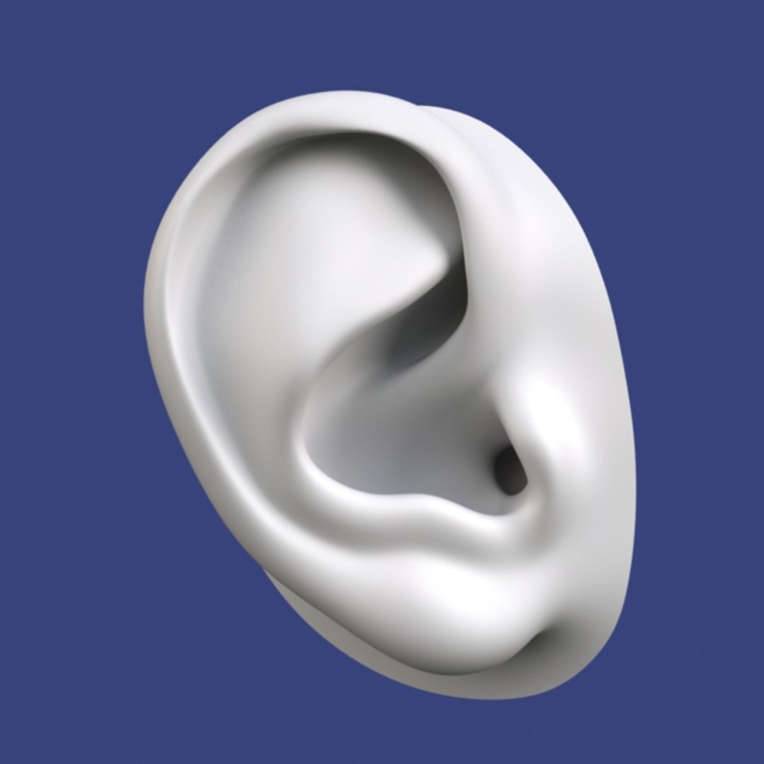 3d ear polygonal lightwave model https://p.turbosquid.com/ts-thumb/Oy/6eKLlj/Ersql6O6/7/jpg/1321632835/1920x1080/fit_q87/233f8eb8682fbd53b77be46d182313bdcb676b43/7.jpg