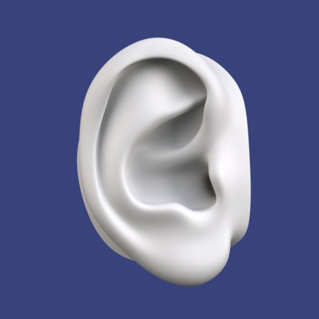 3d ear polygonal lightwave model https://p.turbosquid.com/ts-thumb/Oy/6eKLlj/yu46UwNJ/3/jpg/1321632834/1920x1080/fit_q87/9863214176286b6b3e2679db1020f193eb6dc98b/3.jpg