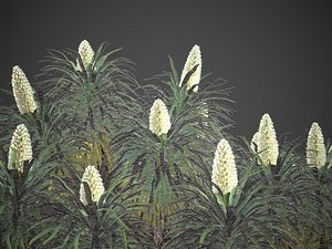 3D model XfrogPlants Joshua Tree - Yucca Brevifolia