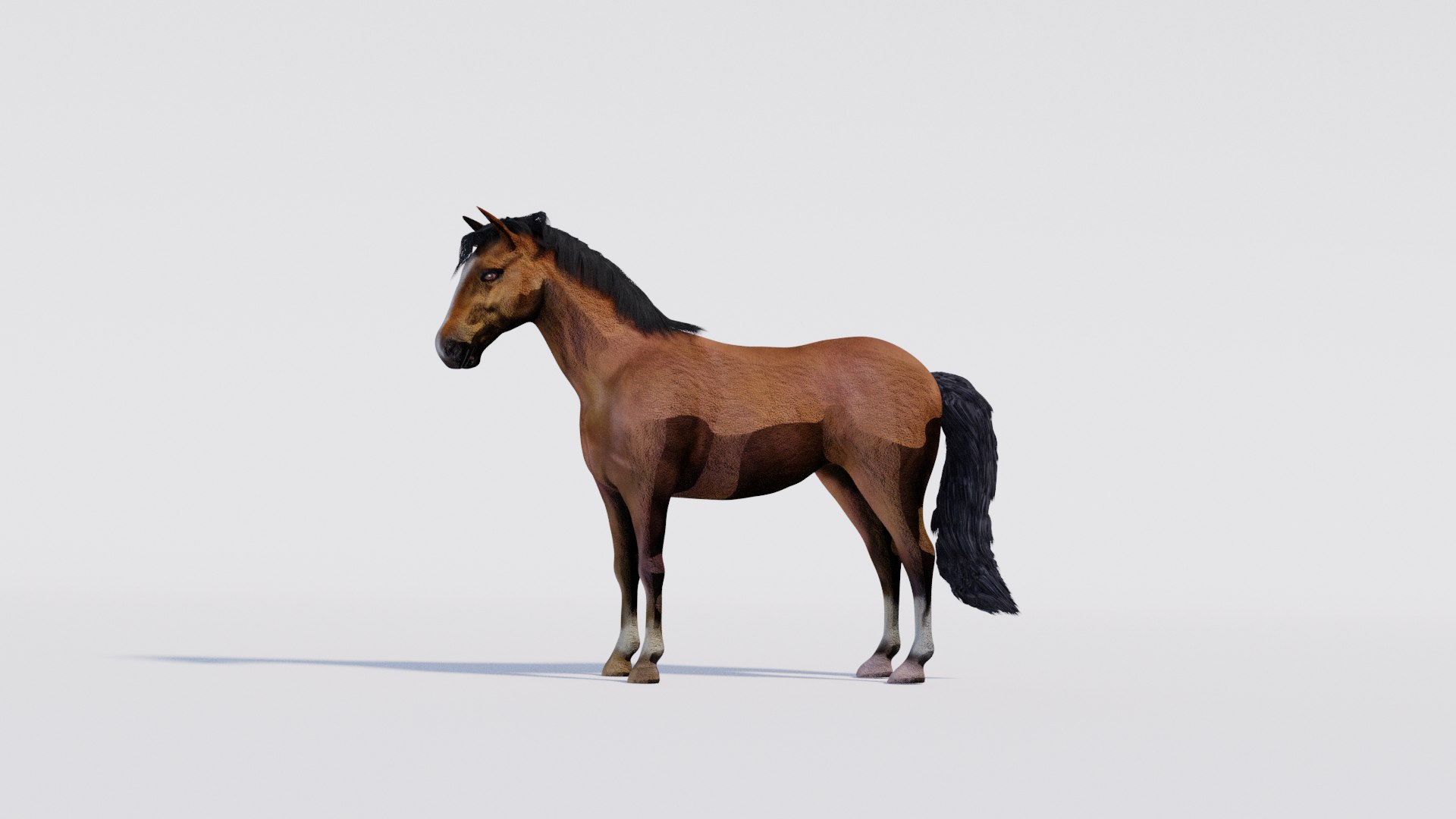 3D Animated Brown Horse model https://p.turbosquid.com/ts-thumb/Oy/7vFJgh/Dv/frt/png/1731107884/1920x1080/fit_q87/e7cc5d6edb25d7be639ec413cdd15e85c089f3e3/frt.jpg