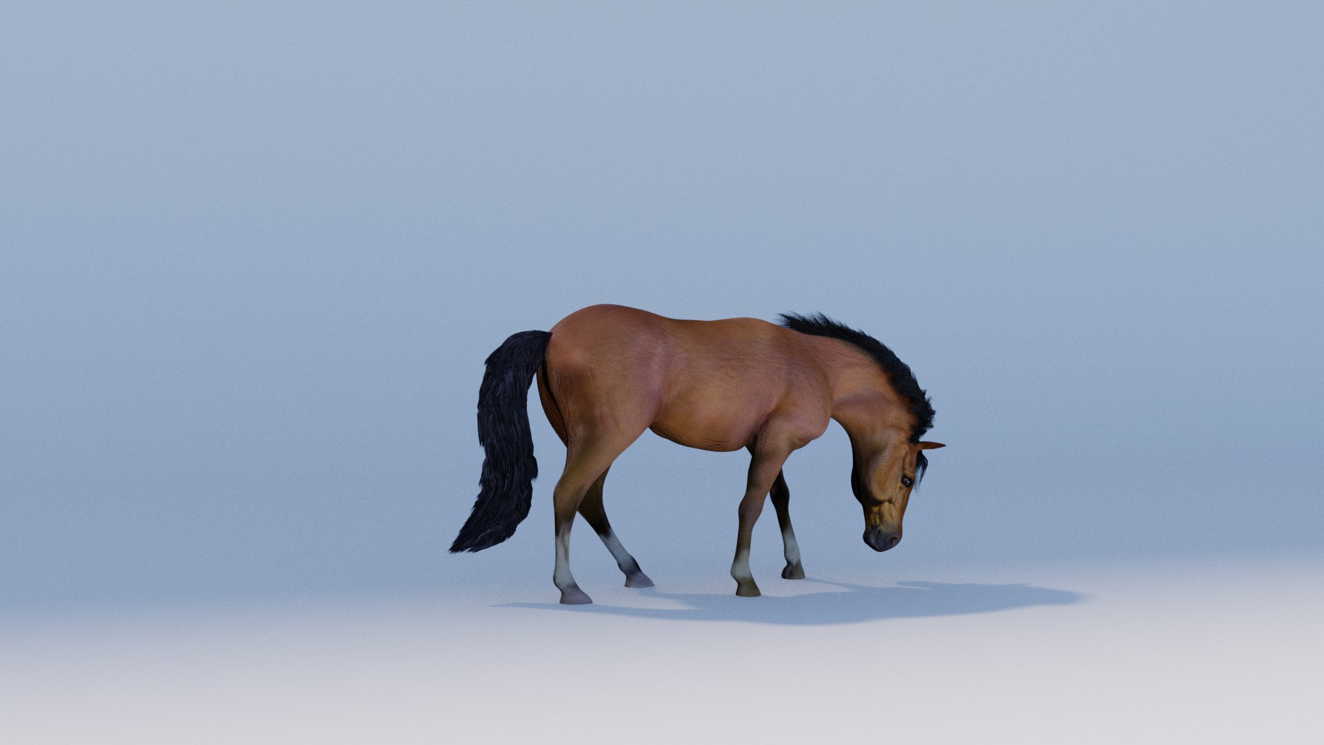 3D Animated Brown Horse model https://p.turbosquid.com/ts-thumb/Oy/7vFJgh/Rs/back/png/1731106994/1920x1080/fit_q87/e8e2475edf944c78cdcb2d4c4cb585d031efd282/back.jpg