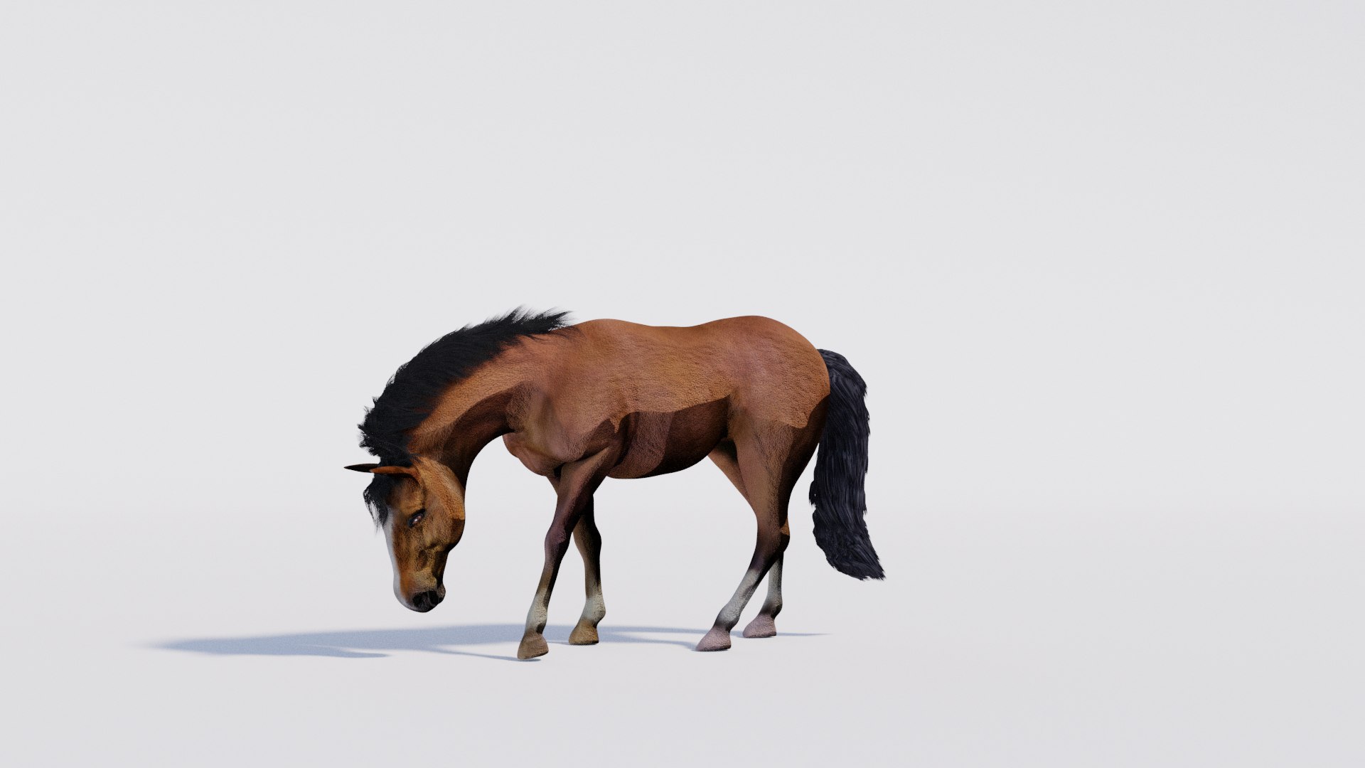 3D Animated Brown Horse model https://p.turbosquid.com/ts-thumb/Oy/7vFJgh/TF/pose1/png/1731257728/1920x1080/fit_q87/34fc23ce3b03d870f36bbfbcce13e2661d0a123f/pose1.jpg