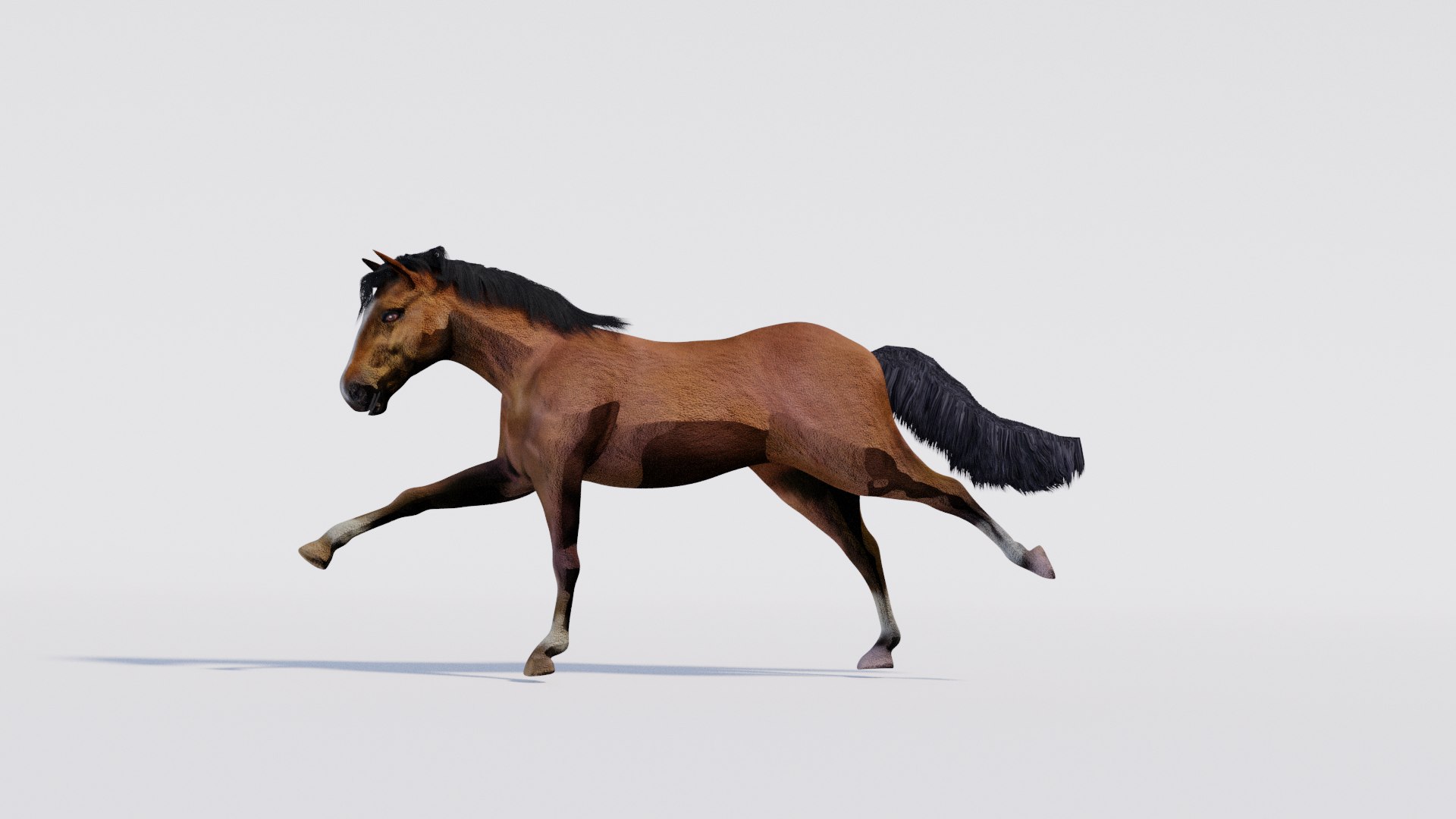 3D Animated Brown Horse model https://p.turbosquid.com/ts-thumb/Oy/7vFJgh/ma/run1/png/1731107014/1920x1080/fit_q87/c0160c9d409c149c68942c6c038beaf750b3c4cd/run1.jpg
