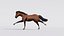 Caballo marrón animado