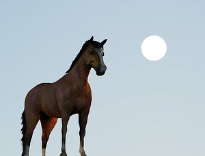 3D Animated Brown Horse model