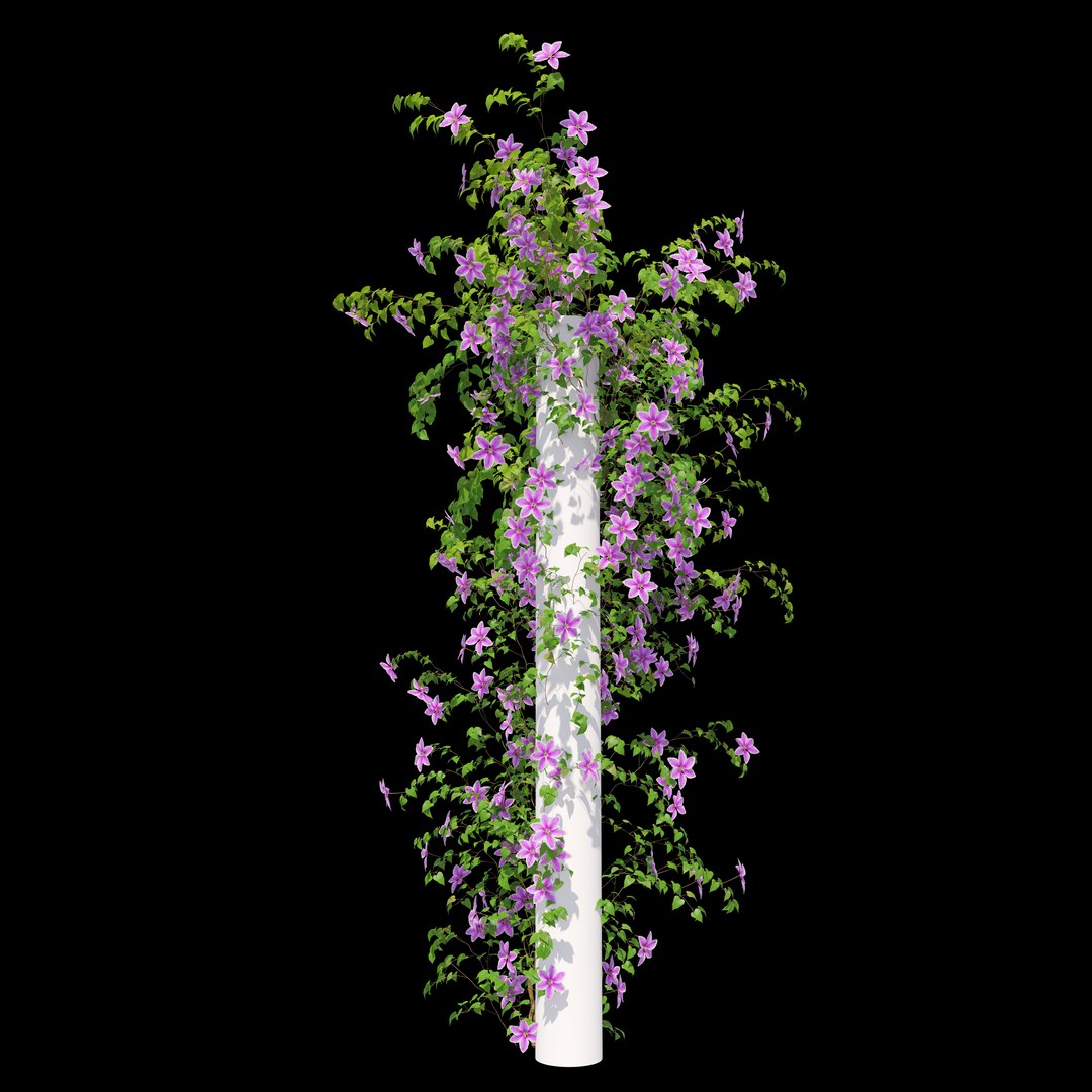 3D Clematis https://p.turbosquid.com/ts-thumb/Oy/A9VJkQ/Lh/preview3/jpg/1776917025/1920x1080/fit_q87/f314c2d553010fcb718a5d69f0f28e829d5b884d/preview3.jpg