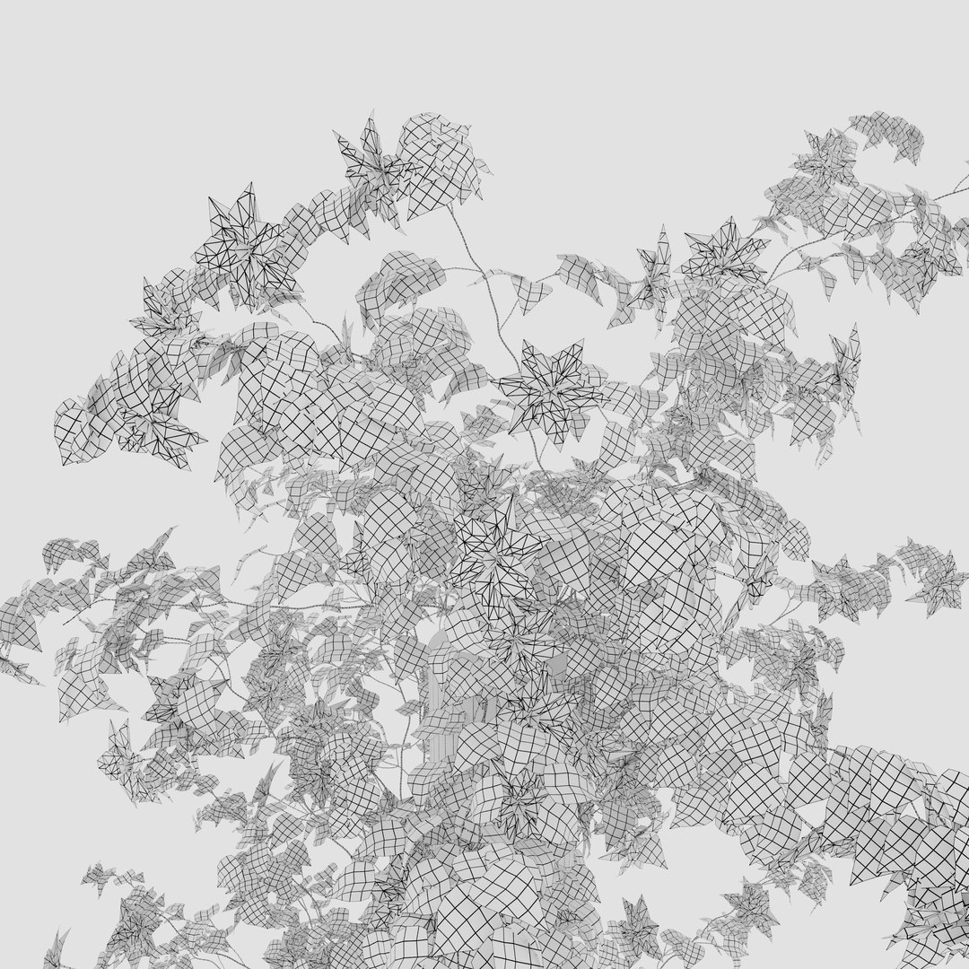 3D Clematis https://p.turbosquid.com/ts-thumb/Oy/A9VJkQ/Wa/preview7/jpg/1776917028/1920x1080/fit_q87/557e7f4d336d81c3e68e006c1e34427dd0ca4001/preview7.jpg