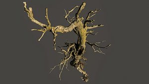 600-year-old dead oak - ENT 07 3D