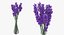 3D flowers vases model