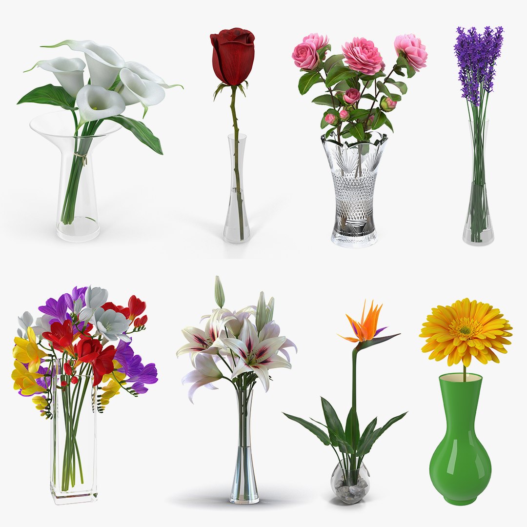 3D flowers vases model https://p.turbosquid.com/ts-thumb/Oy/KvNsaZ/PGhSmep4/flowersinvasescollectionmb3dmodel000/jpg/1533723107/1920x1080/fit_q87/863ac66f97b01e5c0f77276c01adfc5d0603bb00/flowersinvasescollectionmb3dmodel000.jpg