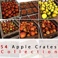 Apple Fruit Crates Cases Market Store Shop Convenience General Grocery Greengrocery Detail Prop Fair Plantation Jungle South Plant Garden Greenhouse Red Green Realistic Vray