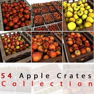 Apple Fruit Crates Cases Market Store Shop Convenience General Grocery Greengrocery Detail Prop Fair Plantation Jungle South Plant Garden Greenhouse Red Green Realistic Vray