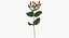 Ensemble floral rouge 01 - 23 produits