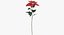Ensemble floral rouge 01 - 23 produits