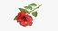 Ensemble floral rouge 01 - 23 produits