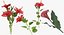 Ensemble floral rouge 01 - 23 produits