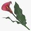 Ensemble floral rouge 01 - 23 produits