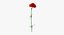 Ensemble floral rouge 01 - 23 produits