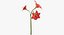 Ensemble floral rouge 01 - 23 produits