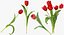 Ensemble floral rouge 01 - 23 produits