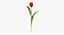 Ensemble floral rouge 01 - 23 produits