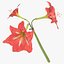 Ensemble floral rouge 01 - 23 produits