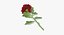 Ensemble floral rouge 01 - 23 produits