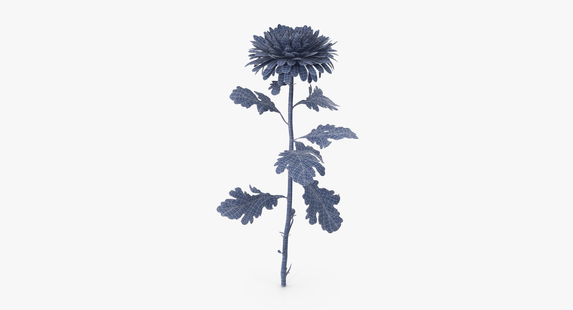 3D red floral set 01 https://p.turbosquid.com/ts-thumb/Oy/VHQzGi/bQo391eR/chrysanthemum_red_standing_001_wireframe_0001/jpg/1568896378/1920x1080/fit_q87/5012b3526379a66d7bcf6bbeda45b318c95171ea/chrysanthemum_red_standing_001_wireframe_0001.jpg