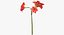 Ensemble floral rouge 01 - 23 produits