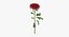 Ensemble floral rouge 01 - 23 produits