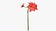 Ensemble floral rouge 01 - 23 produits