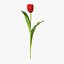 Ensemble floral rouge 01 - 23 produits