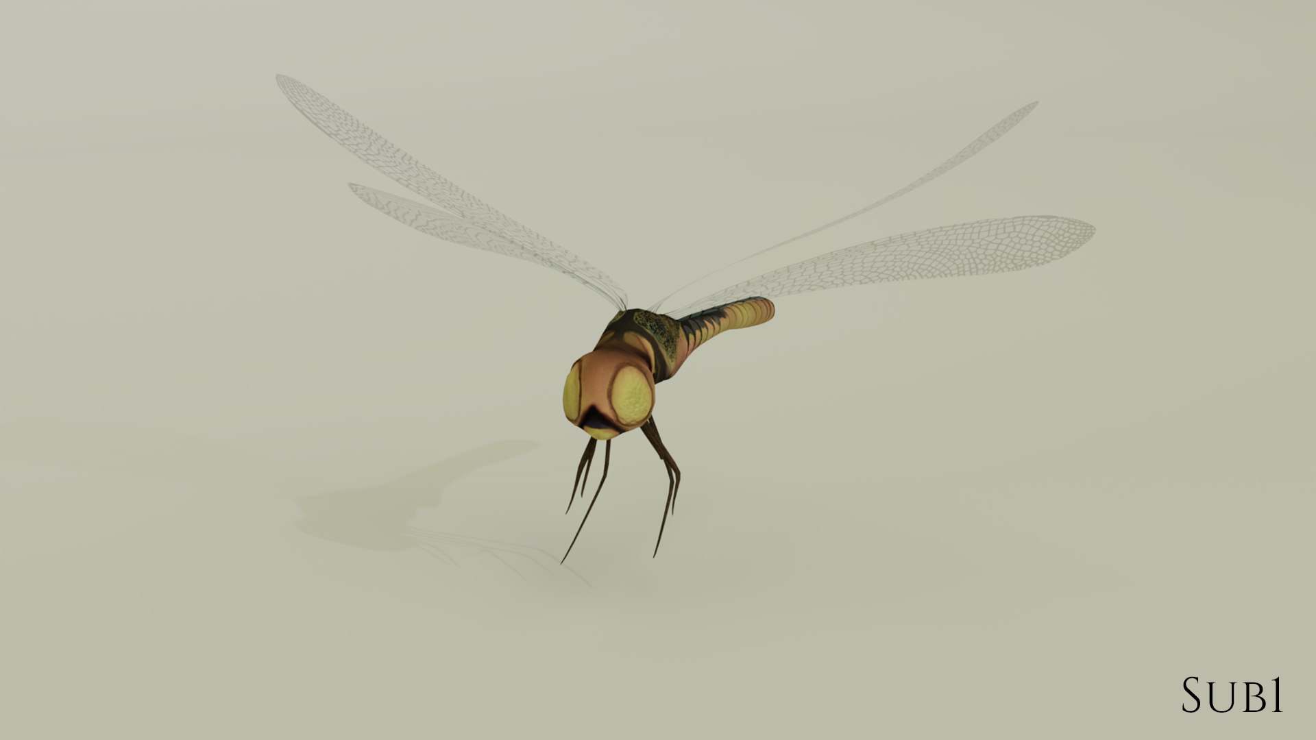 Dragonfly 3D model - TurboSquid 2138375