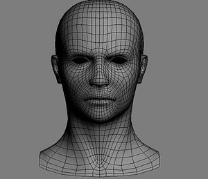 3d base mesh human head model