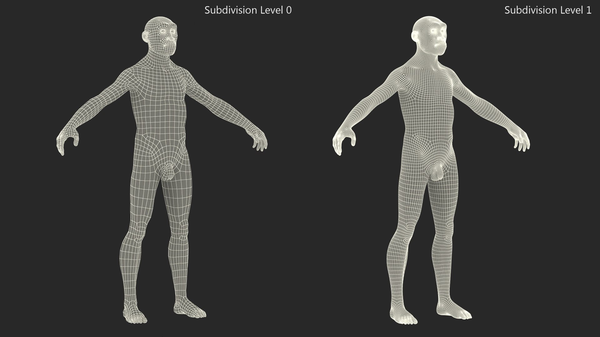 Homo Erectus Fur Rigged 3D model https://p.turbosquid.com/ts-thumb/Oy/ZWLXlr/35/homoerectusfurrigged3dsmodel027/jpg/1706043242/1920x1080/fit_q87/079e8a6111348a05dec12b846bd7968452a8903c/homoerectusfurrigged3dsmodel027.jpg