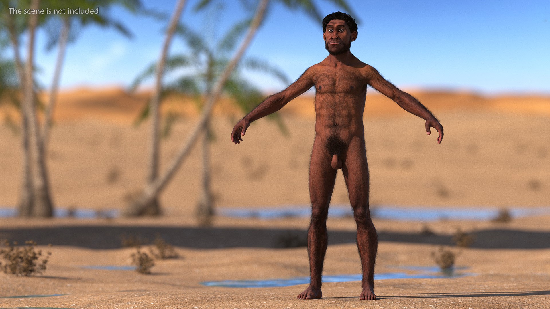 Homo Erectus Fur Rigged 3D model https://p.turbosquid.com/ts-thumb/Oy/ZWLXlr/38/homoerectusfurrigged3dsmodel008/jpg/1706043151/1920x1080/fit_q87/bb56a916f259cbe9d1d128bbdeb09099eb0178e1/homoerectusfurrigged3dsmodel008.jpg