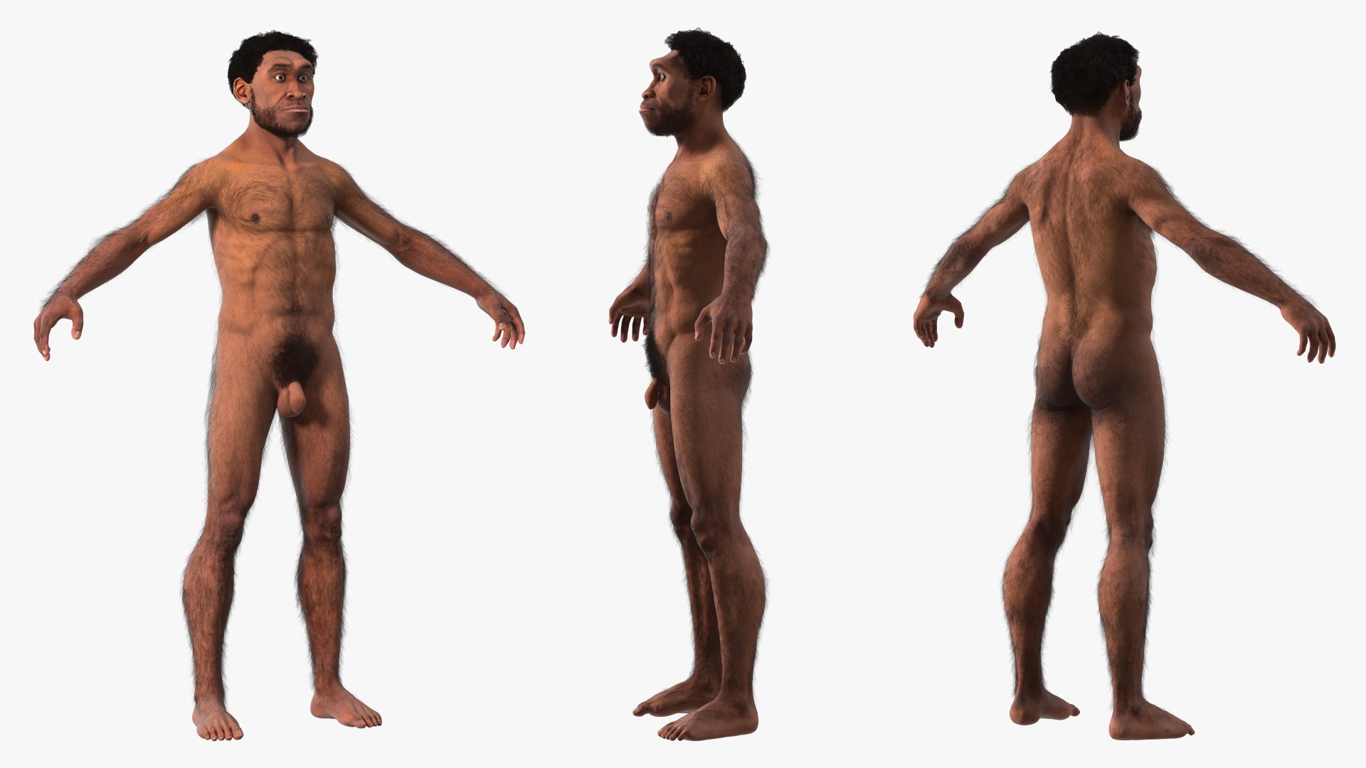 Homo Erectus Fur Rigged 3D model https://p.turbosquid.com/ts-thumb/Oy/ZWLXlr/8a/homoerectusfurrigged3dsmodel020/jpg/1706043210/1920x1080/fit_q87/910579b4ec8b7611b8d75a9bcd9253930a42ee4d/homoerectusfurrigged3dsmodel020.jpg