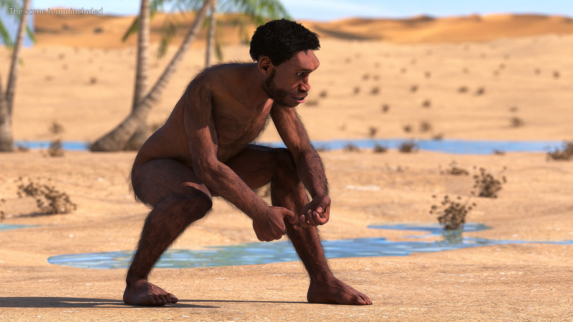 Homo Erectus Fur Rigged 3D Model - TurboSquid 2180778