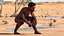 Homo Erectus armato di pelliccia