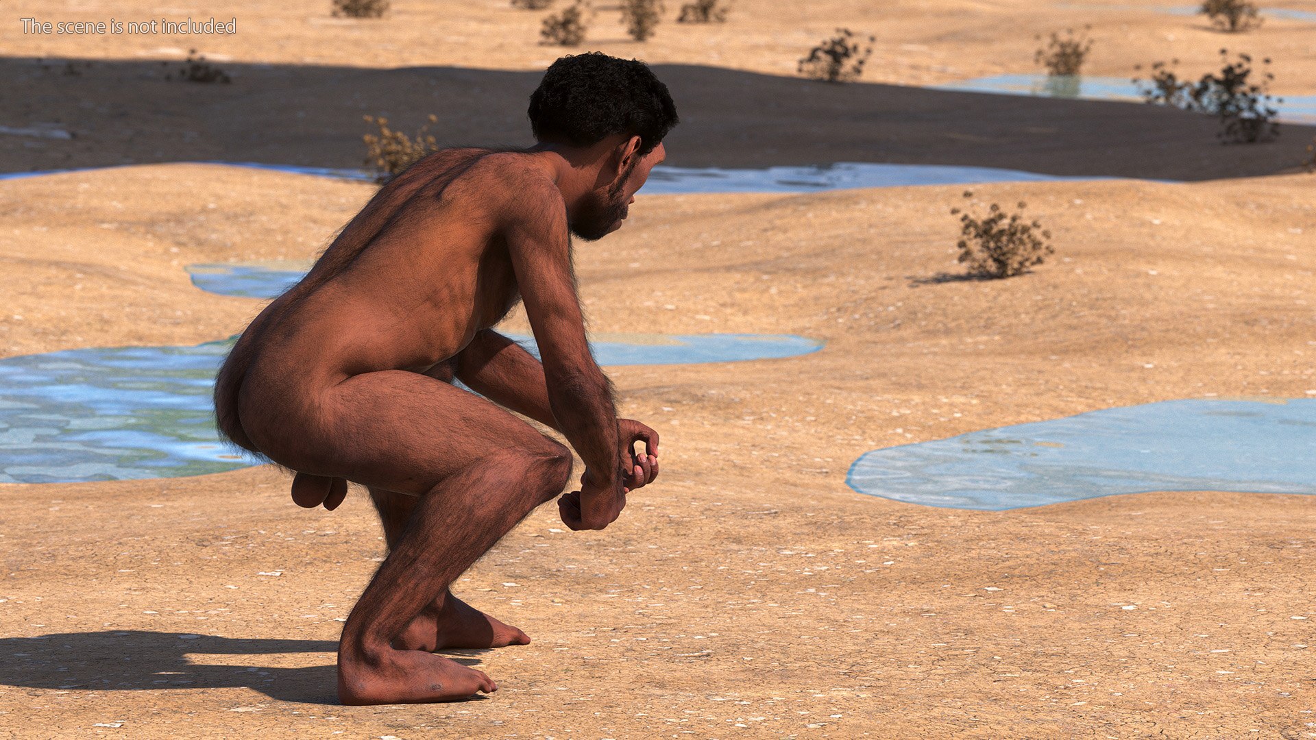 Homo Erectus Fur Rigged 3D model https://p.turbosquid.com/ts-thumb/Oy/ZWLXlr/FG/homoerectusfurrigged3dsmodel014/jpg/1706043180/1920x1080/fit_q87/4dfbdd7c8e189a12753a599ea738190dda1b3474/homoerectusfurrigged3dsmodel014.jpg