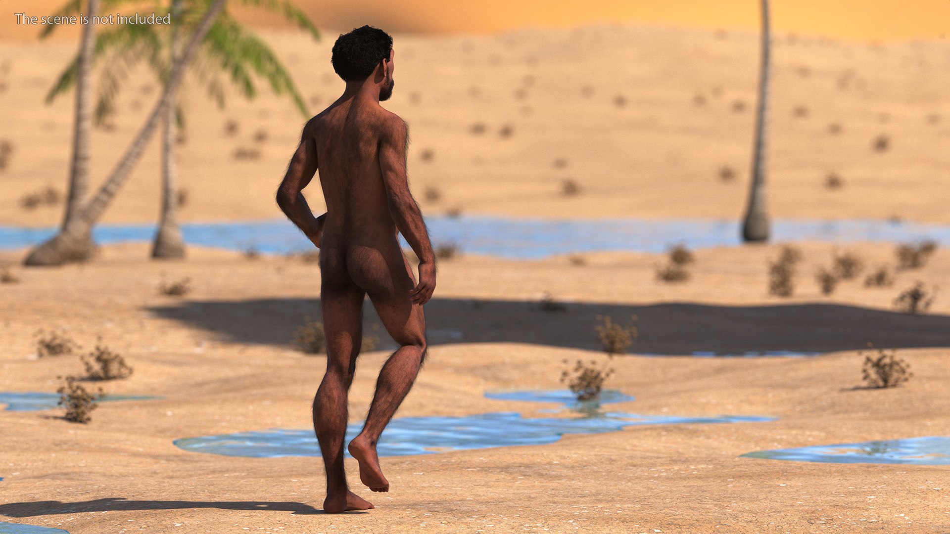 Homo Erectus Fur Rigged 3D model https://p.turbosquid.com/ts-thumb/Oy/ZWLXlr/Fo/homoerectusfurrigged3dsmodel006/jpg/1706043140/1920x1080/fit_q87/86c61271fdb0dee33a65e32300dddc8cf66f5074/homoerectusfurrigged3dsmodel006.jpg